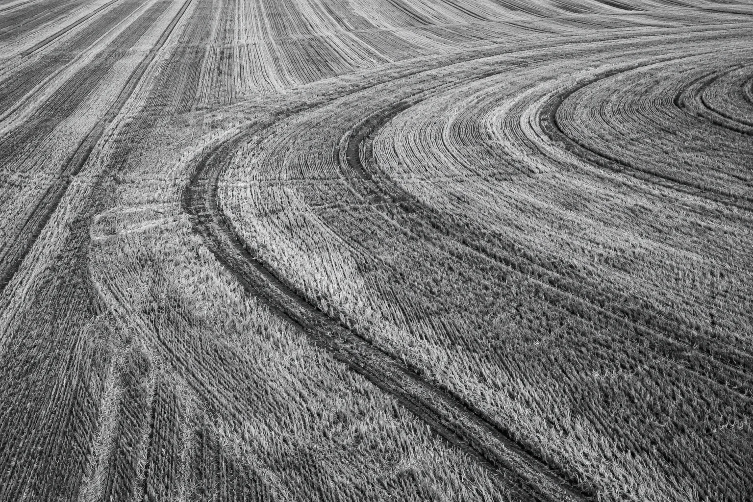 Sweeping cultivation lines across an agricultural field